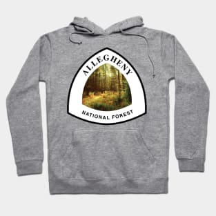 Allegheny National Forest trail marker Hoodie